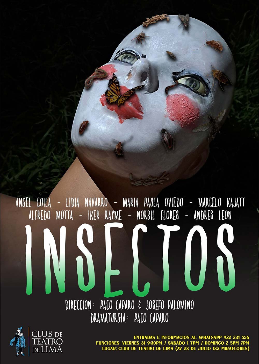 Afiche de la Obra Insectos